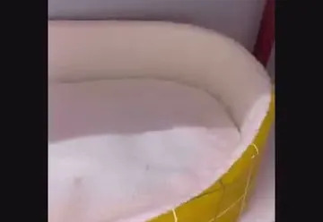Caminha fofinha amarela e branca