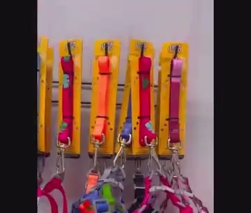 Coleiras e peitorais coloridos pendurados em cartelas amarelas