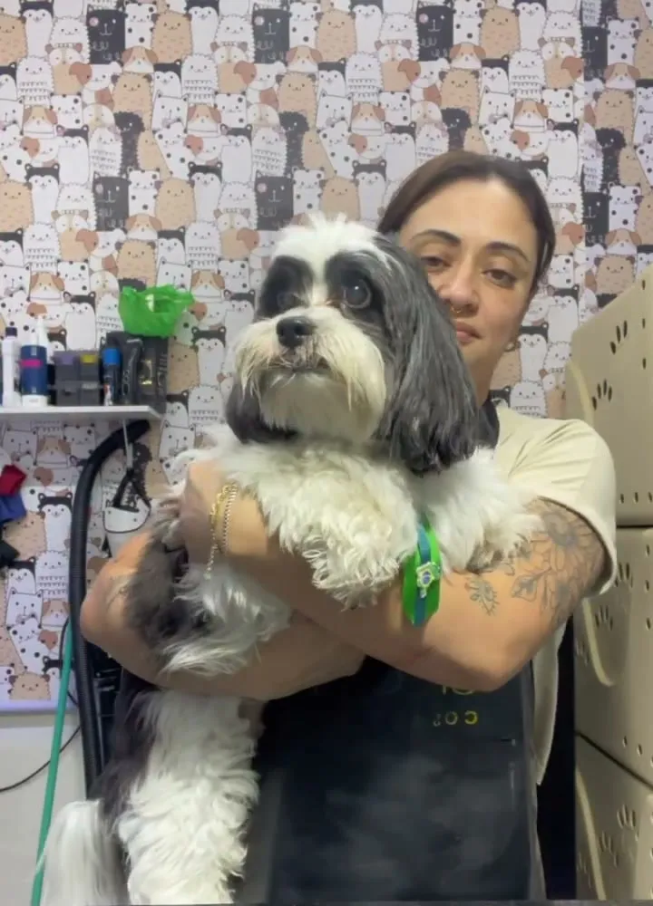 O Pingo no colo, chegando para o banho e tosa